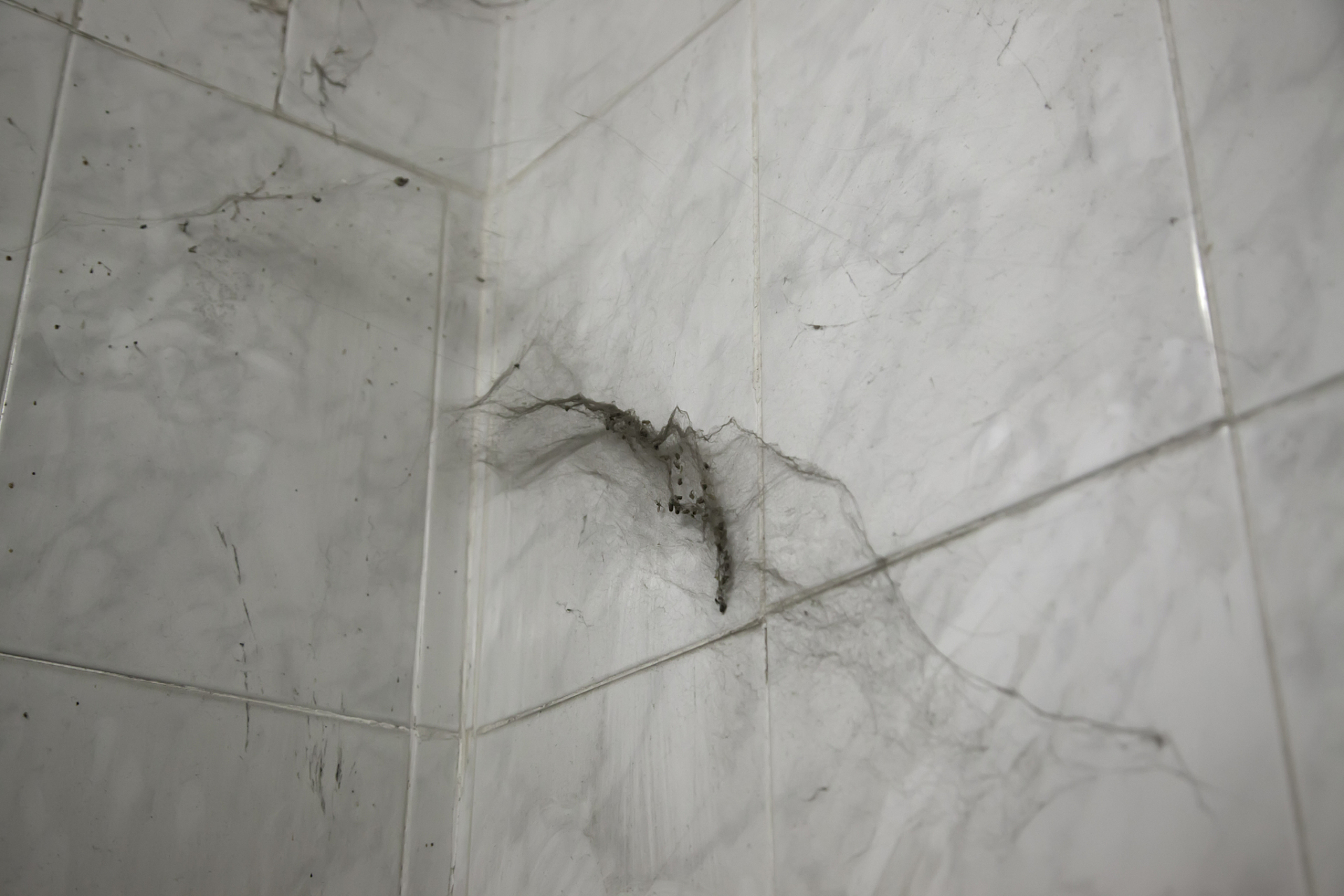 卫生间墙面砖空鼓会掉吗(卫生间墙面砖空鼓了如何处理) 卫生间墙面砖空鼓会掉吗(卫生间墙面砖空鼓了如何处理)